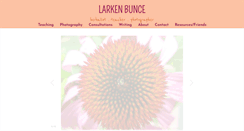 Desktop Screenshot of larkenbunce.com